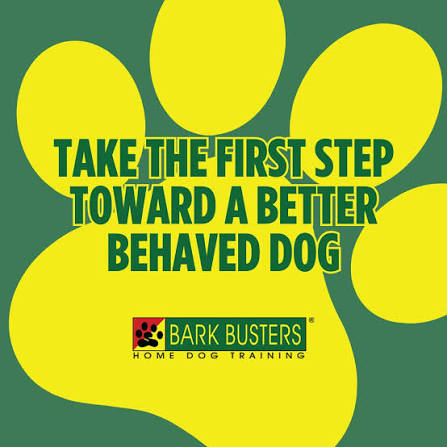 Bark Busters branding