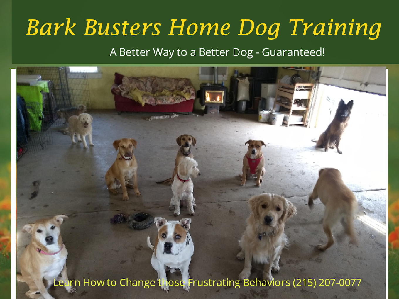 Dogs trained by Bark Busters